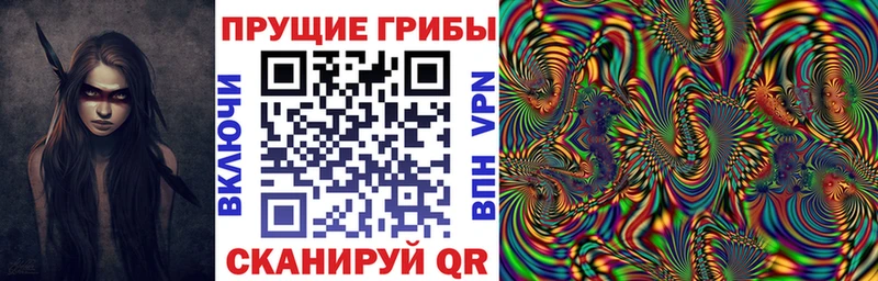 Галлюциногенные грибы мухоморы  Купить где  Заринск 
